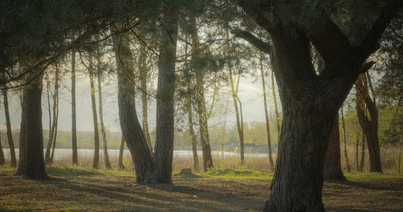 The five milestones that structure a character arc