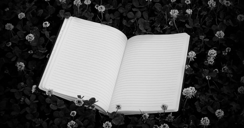What is a sonnet, in plain terms?
