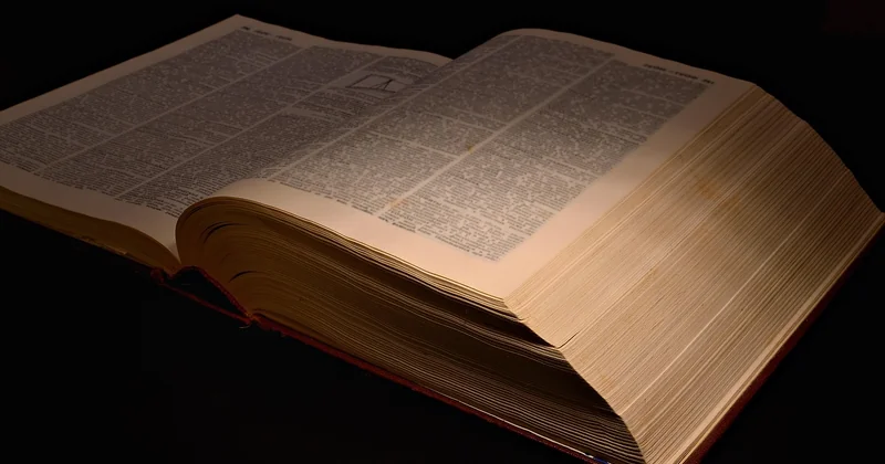 The terminology trap: narrator vs. author vs. "limited"