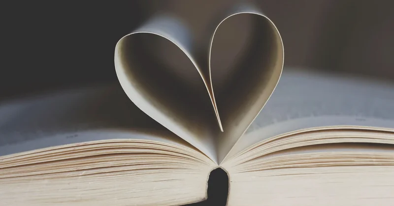 Can a Novel Be Both?