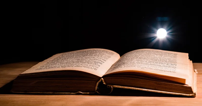 What are the 5 C's of a literature review?